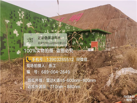 渭南星空迷彩墙施工队