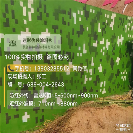 渭南星空迷彩漆，夏令营训练,数码迷彩作训墙,围墙